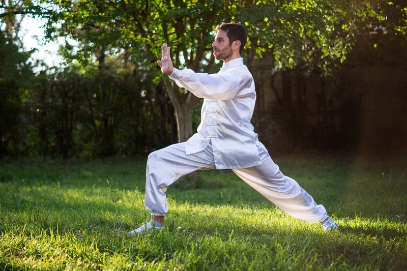Chen Style Tai Chi Image